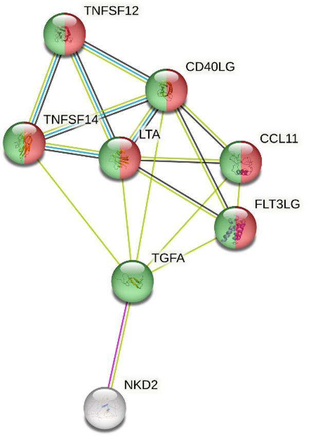Figure 4