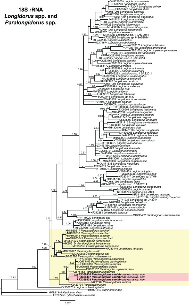 Figure 7