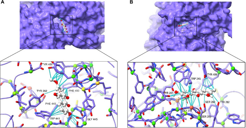 Figure 9