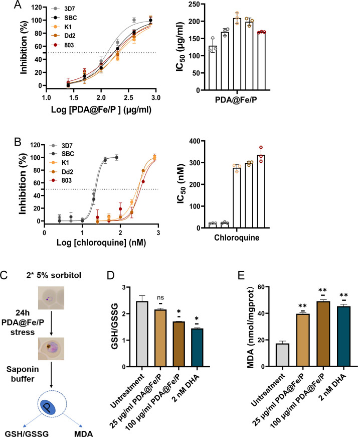 Fig 2