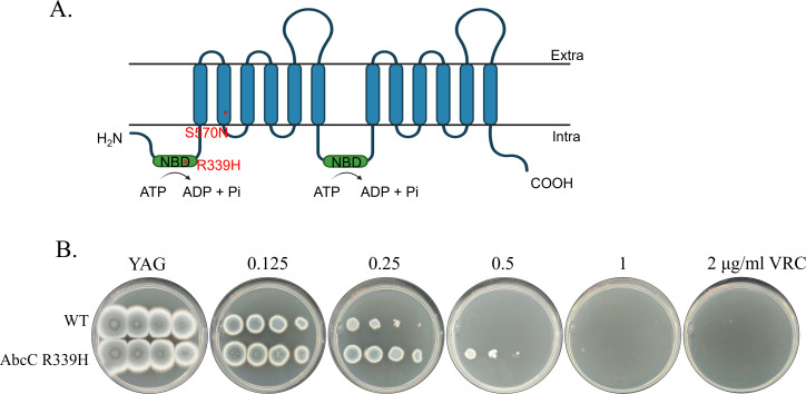 Fig 4