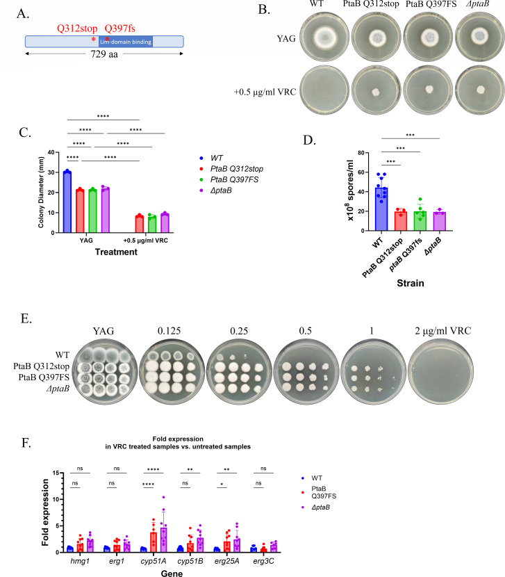 Fig 6