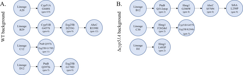 Fig 8
