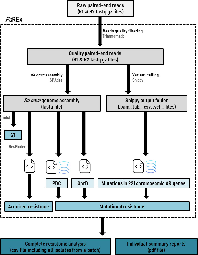 Fig 1