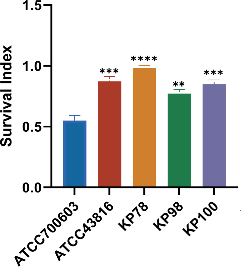 Fig 4