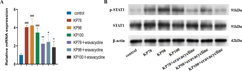 Fig 8