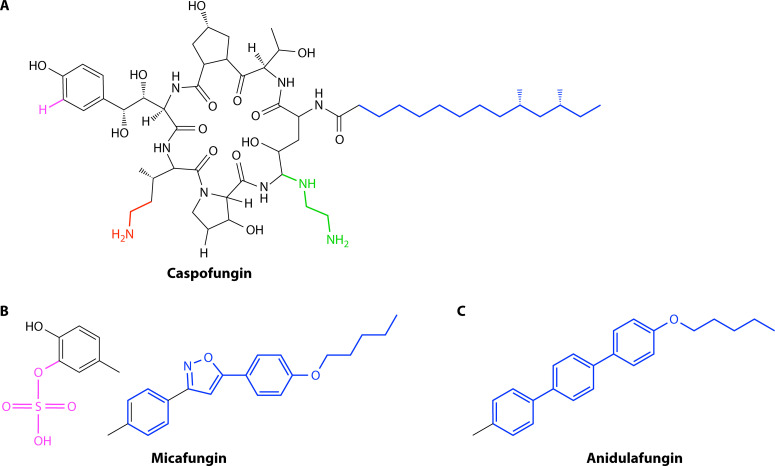 Fig 4