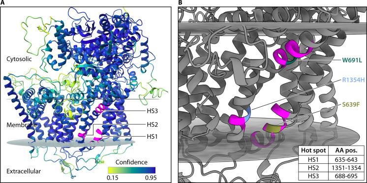 Fig 5