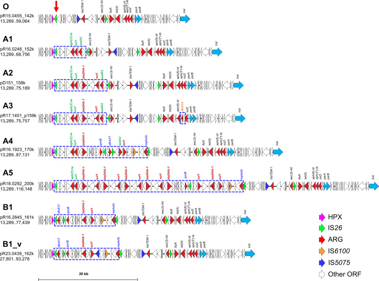 Fig 3