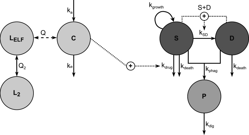 Fig 2