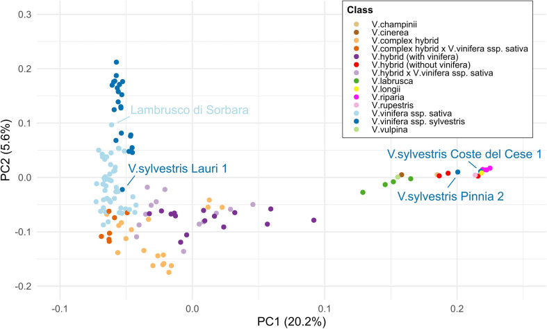 Figure 3