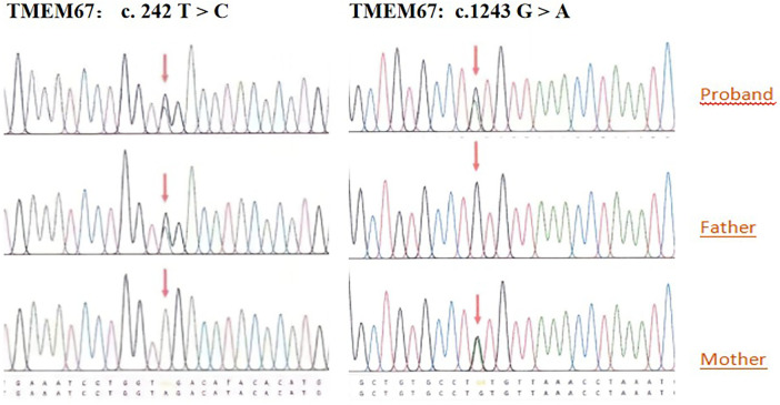 Figure 2