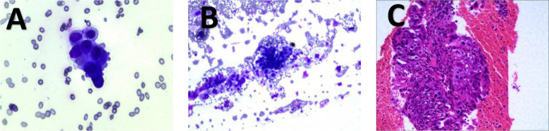Figure 3
