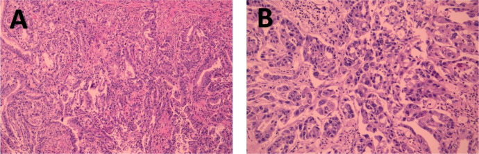 Figure 6