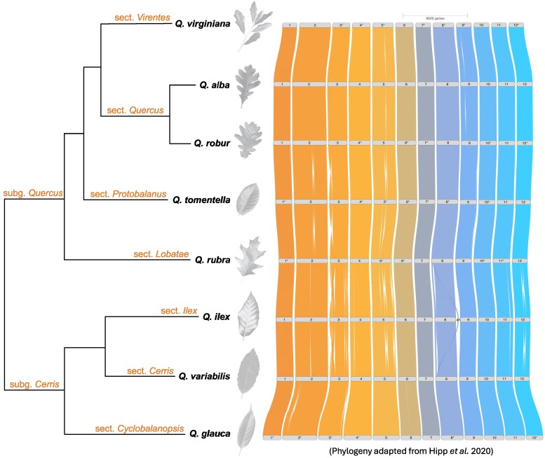 Fig. 3