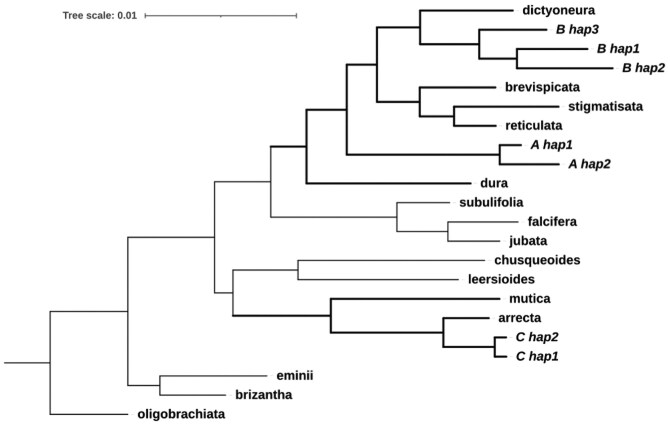 Fig. 6