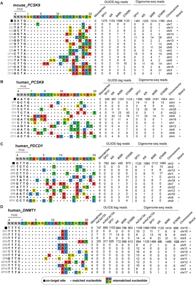FIGURE 6