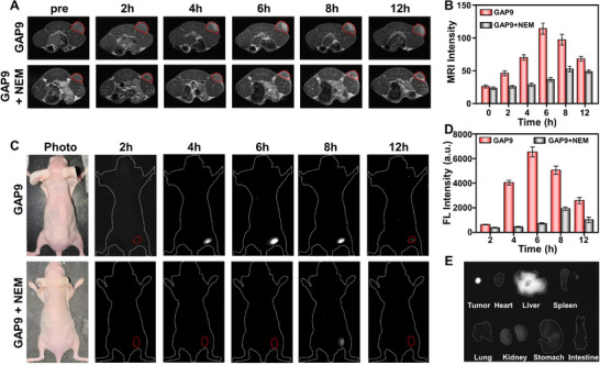 FIGURE 3