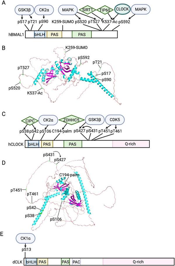 FIGURE 3