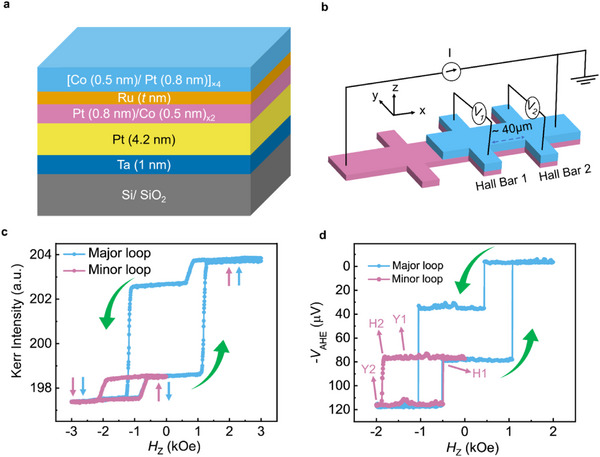 FIGURE 2