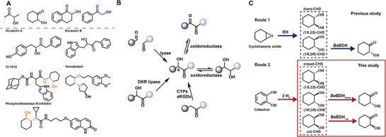 SCHEME 1