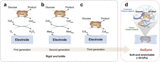 FIGURE 1