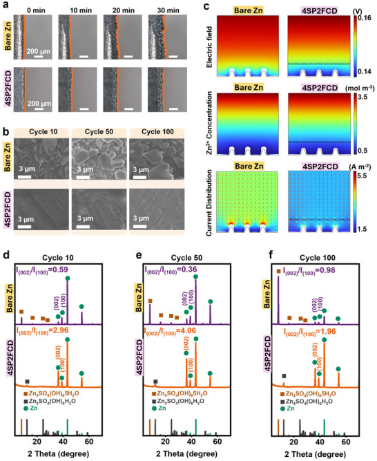FIGURE 4