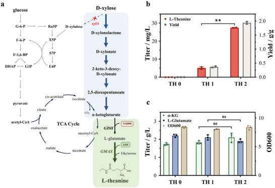 FIGURE 4