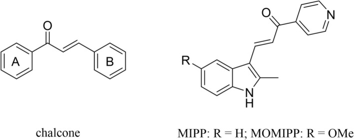 FIGURE 1