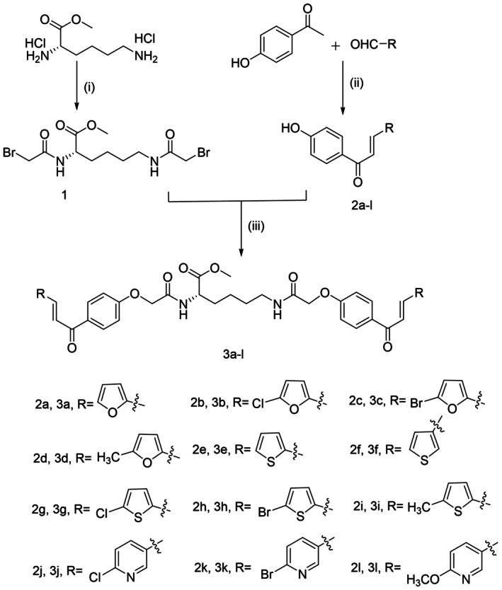 SCHEME 1