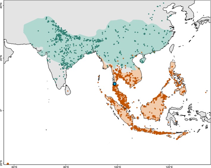 FIGURE 2