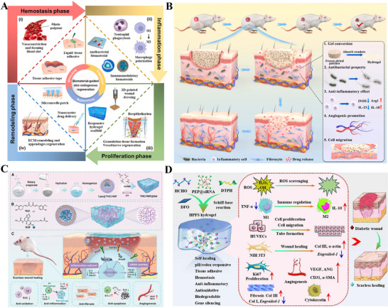 FIGURE 12