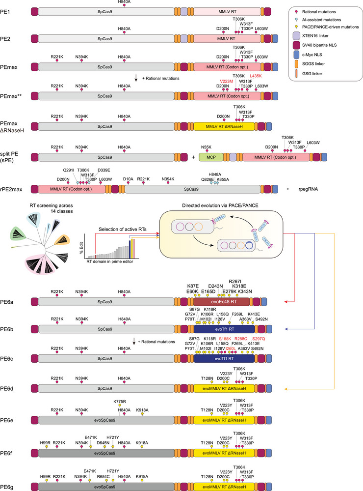FIGURE 2