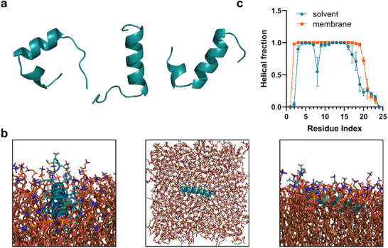 FIGURE 3