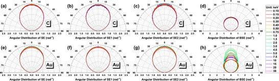 FIGURE 12