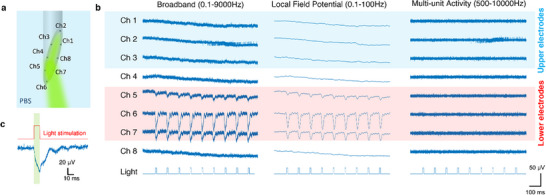 FIGURE 4