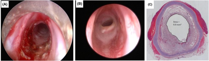 FIGURE 9