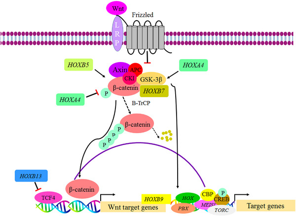 FIGURE 3