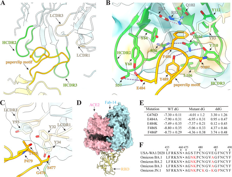 Fig 4