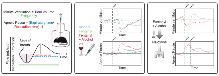 Figure 20