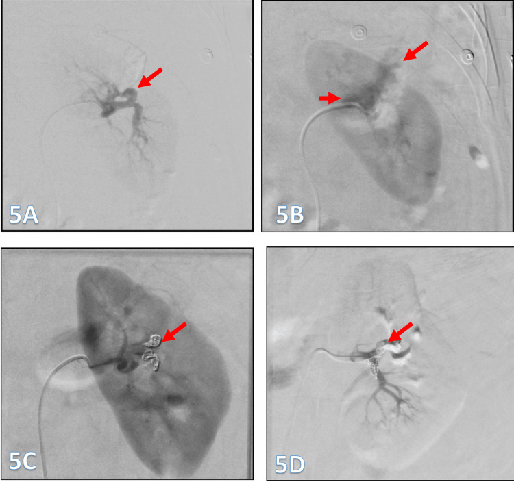 Figure 5