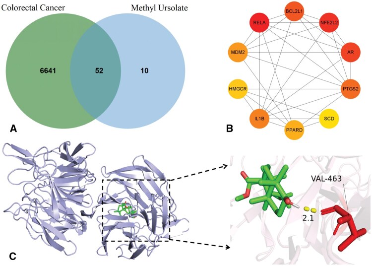 Figure 6