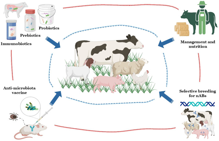 Figure 2