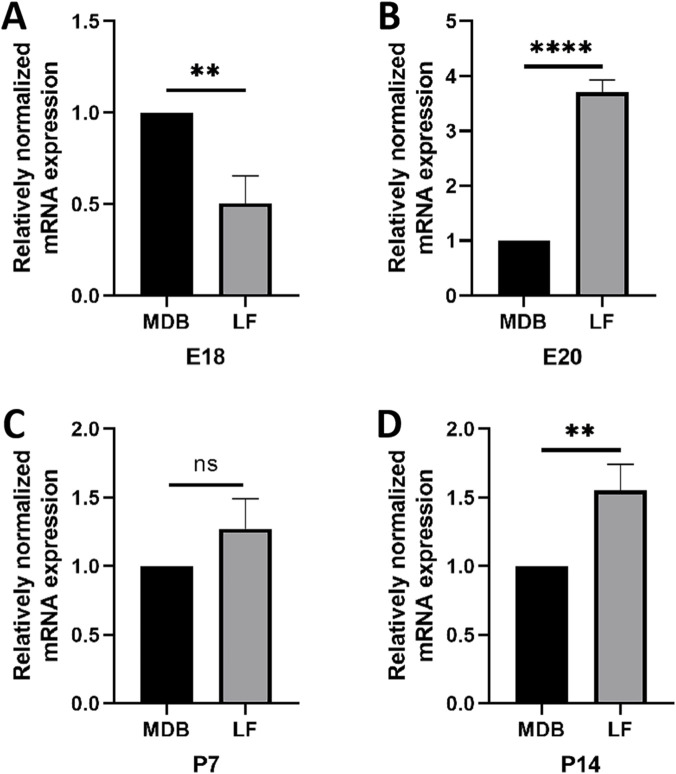 Figure 12