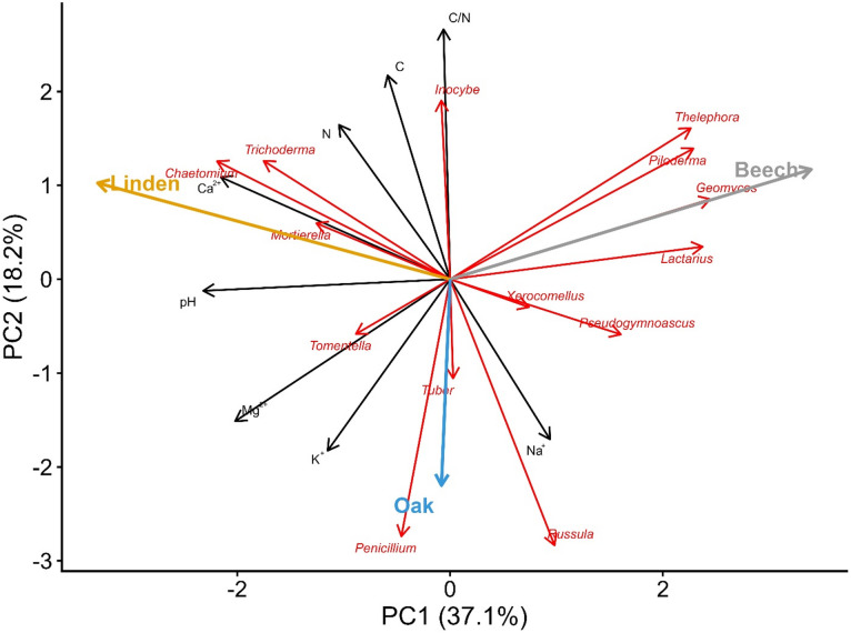 Figure 7