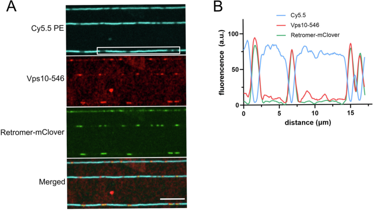 Figure 10