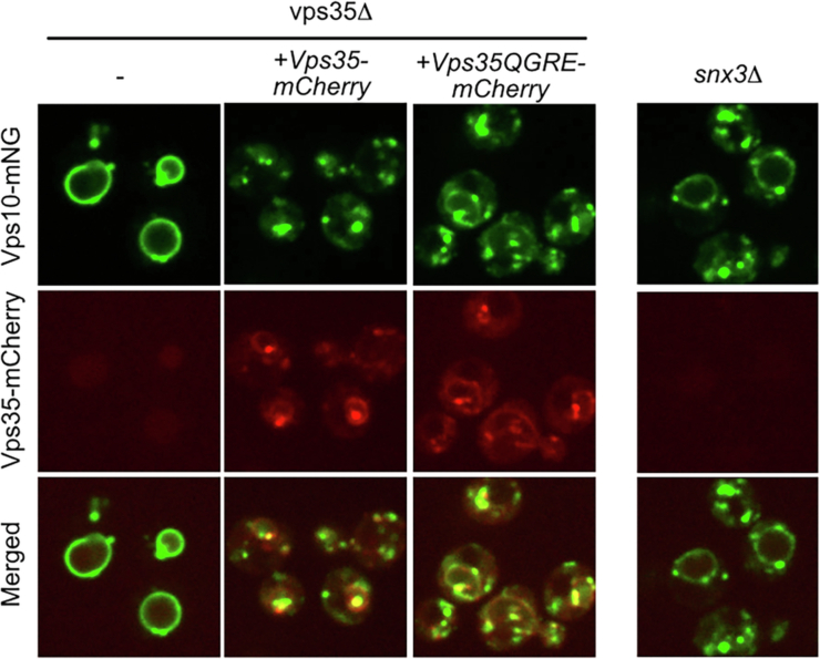 Figure 13