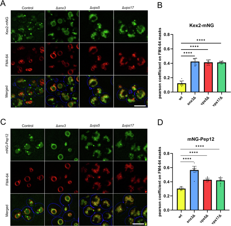 Figure 14
