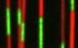 Figure 17
