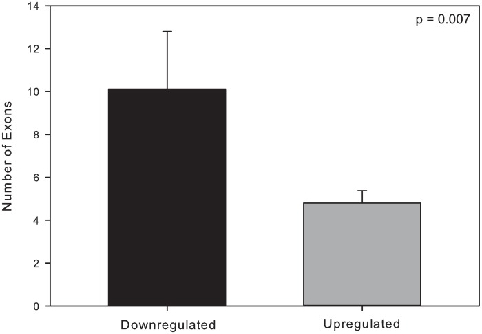 Fig 7